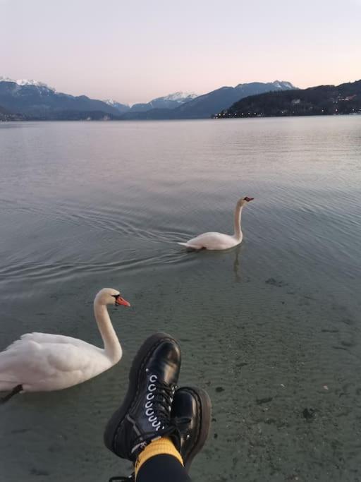 Cocon A La Campagne,Proche Annecy Appartement Alby-sur-Cheran Buitenkant foto
