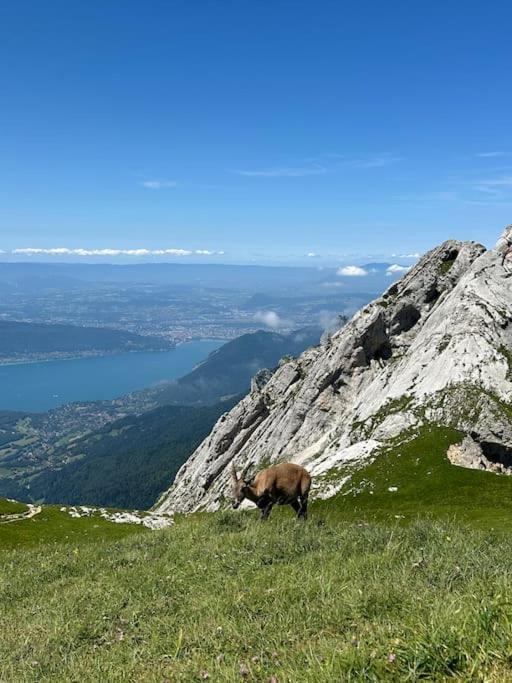 Cocon A La Campagne,Proche Annecy Appartement Alby-sur-Cheran Buitenkant foto